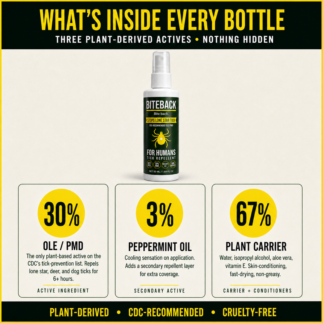 BITEBACK Human formula breakdown — 30% OLE/PMD CDC-recommended active, 3% peppermint secondary repellent, 67% plant-based carrier with aloe and vitamin E