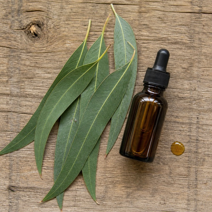 Oil of Lemon Eucalyptus (PMD)