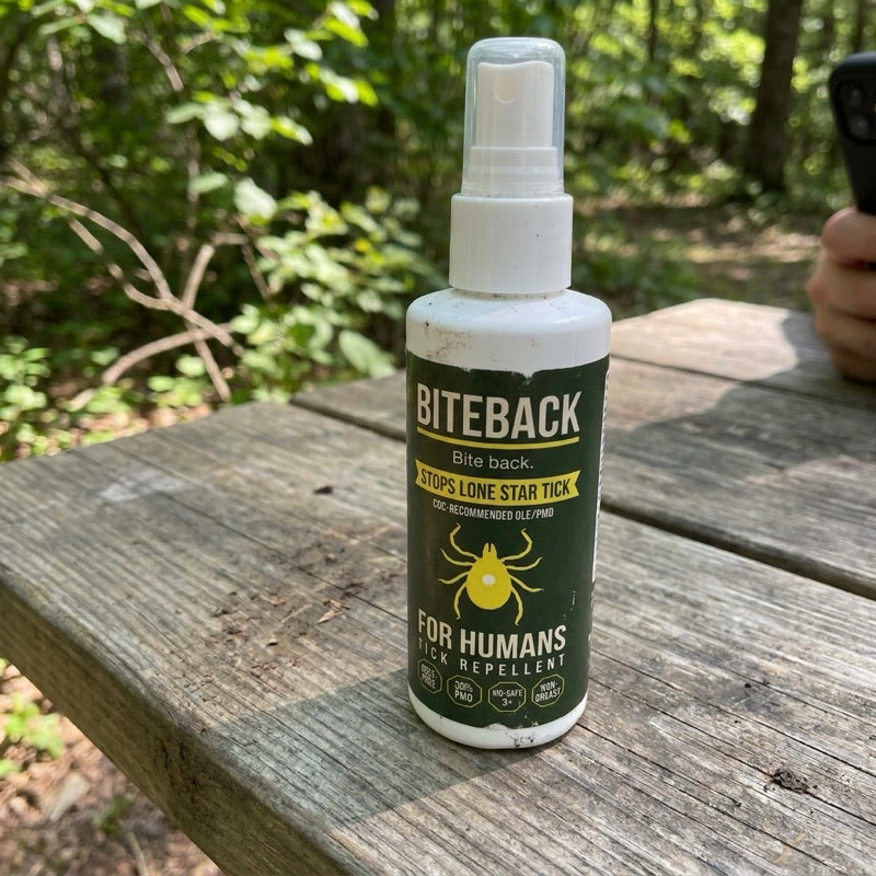 Bottle on a forest picnic table — phone-pov moment