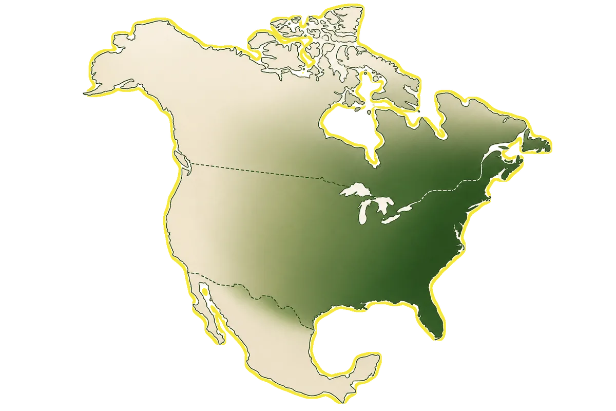 North America silhouette — tick populations heaviest across the eastern US and southern Canada